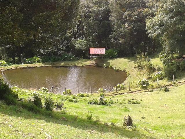 Lagunillas Del Poas Poasito Kültér fotó